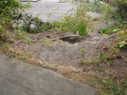 Hard surface trail - soft surface on the side - erosion with a large drop off - no railing