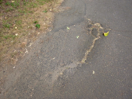 Hard surface trail - cracking and breaking - trail is uneven - lip to soft surface on the side