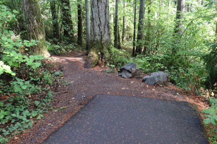 Hard surface trail ends and changes to natural surface &mdash; big lip at transition