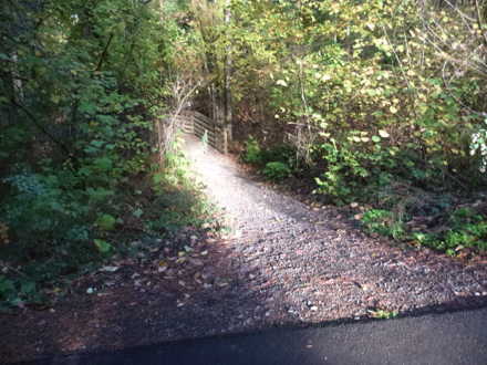 Natural surface trail junction leading to a bridge and street entrance to the park