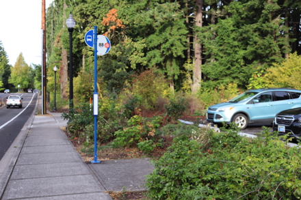 Bus stop #88 along Hart Road at park entrance