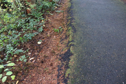 Hard surface trail has a lip on the side that drops to natural surface