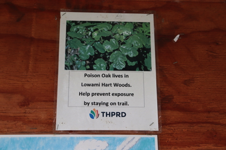 Poison Oak is along the trail &mdash; prevent exposure by staying on the trail