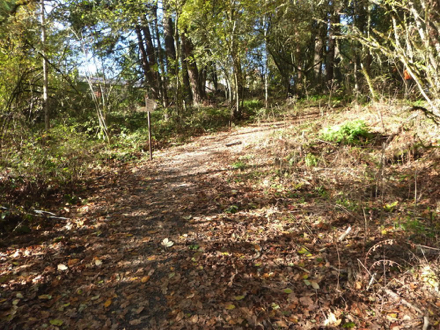 Steep cross-slope along the natural surface trail