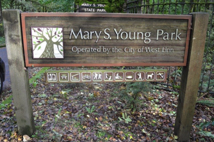 Symbols that show uses at the park Symbols that show uses at the park