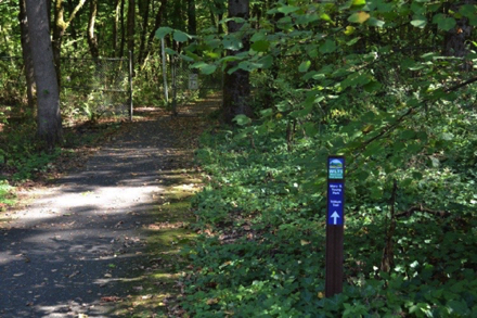 Sign marking the trailhead to the Trillium trail, a natural surface trail Sign marking the trailhead to the Trillium trail, a natural surface trail