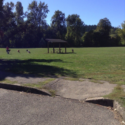 Curb cut for access to the off-leash dog exercise area Curb cut for access to the off-leash dog exercise area