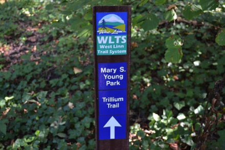 Sign marking the trailhead to the Trillium trail, a natural surface trail