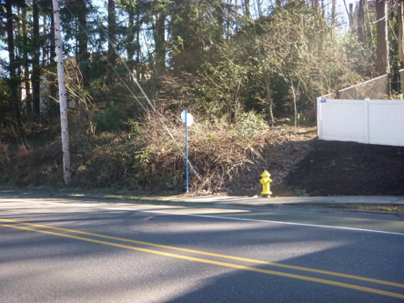 TriMet bus #156 stop, 500 feet east and across the street from the park