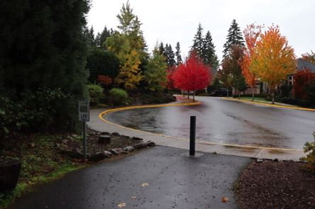 Main trail leads into residential area