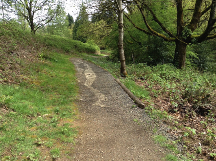Ground fabric under the soft surface trail