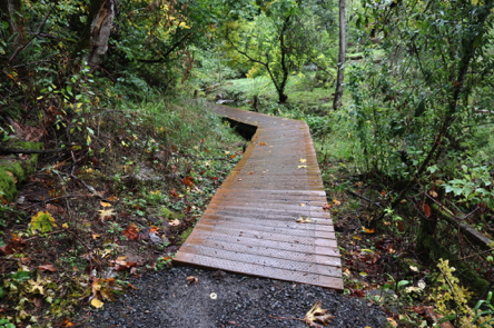 Gravel surface connecting to wooden boardwalk may have a lip