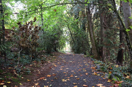 Steep uphill on gravel trail