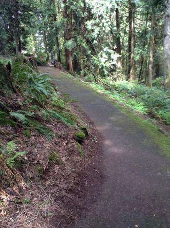 Hard surface trail through residential area