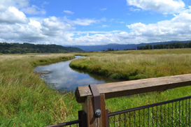 Image overlooking Steigerwald Lake National Wildlife Refuge