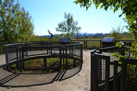 Image of river overlook at Tualatin River National Wildlife Refuge