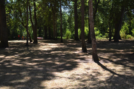The suggested trail route has no visual markers from grass to trail connection
