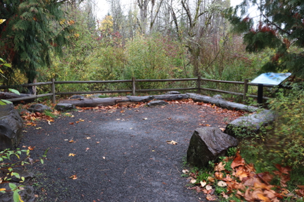 First overlook on compacted gravel with railings and interpretive display &ndash; view of Mt. Scott Creek