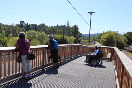 Viewing platform above Springwater Corridor Trail &ndash; views of the wetlands