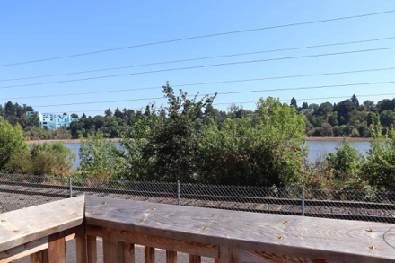 View of Oaks Bottom Wildlife Refuge