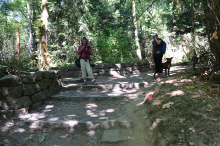Steps and seating on stone wall &ndash; end of Bluff Trail &ndash; trailhead if arriving from Option 3