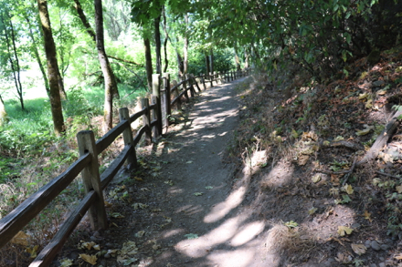 Railing along trail
