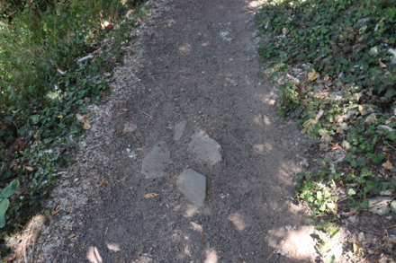 Large rocks in middle of trail