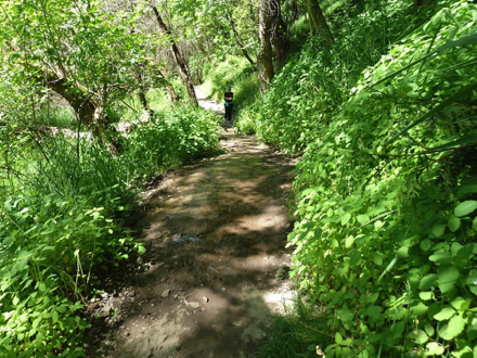 Natural drainage is causing a rare wet area [for this visit]