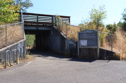 Underpass below Springwater Corridor Trail &ndash; bike racks