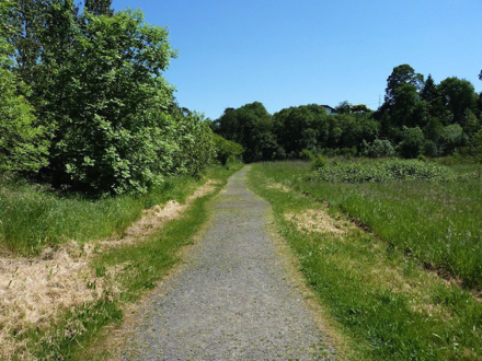 Segment of trail to the Bluff Trail