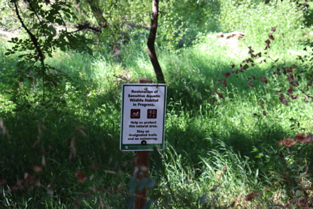Restoration of sensitive aquatic habitat &ndash; stay on trails &ndash; no swimming
