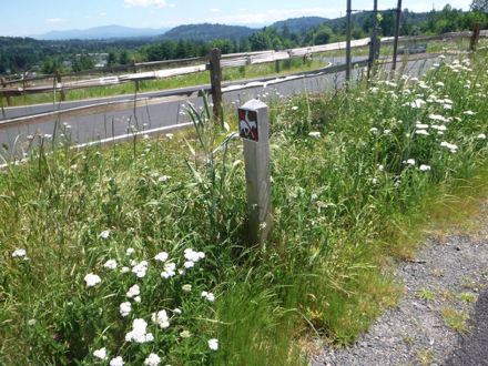 There are designated horse trails and trailer parking