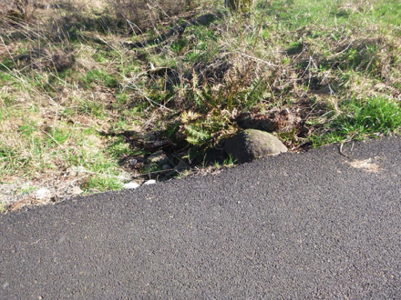 A short drop-off off the paved trail without edge protection