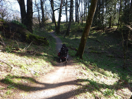 Forest Trail has natural surface with areas of steep grade - may be muddy when wet