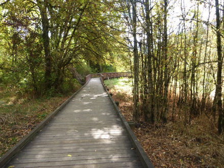 Boardwalk with edge protection &ndash; may be slippery when wet