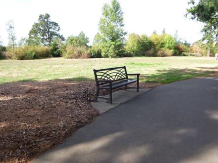 Bench off paved trail &ndash; on paved surface &ndash; wheelchair companion seating in grass