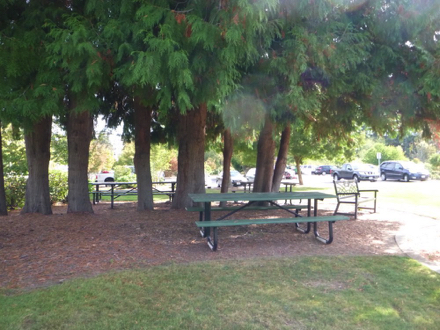 Picnic tables under large trees &ndash; natural surface &ndash; near parking and playground