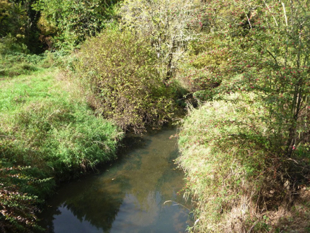 View of Rock Creek from boardwalk overlook
