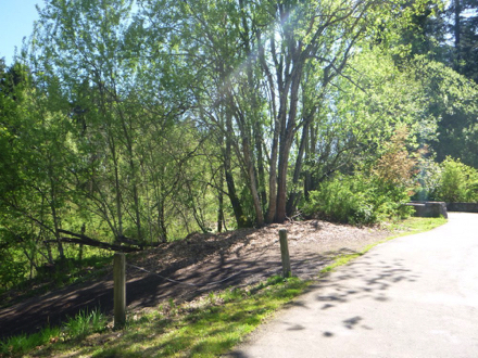 The natural surface Creekside Loop begins with a steep grade