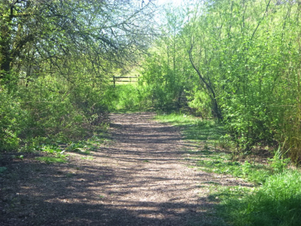 Natural surface trails may have steep sections and cross slopes