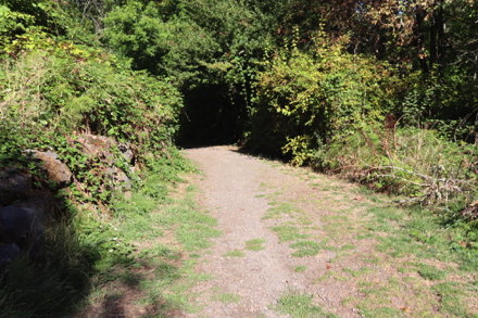 The Creekside loop natural surface trail begins with a steep slope &ndash; may be muddy
