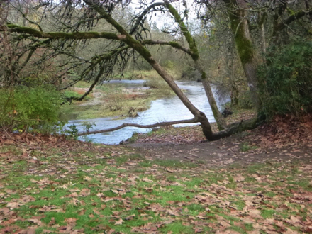 Soft surface path to Salmon Creek