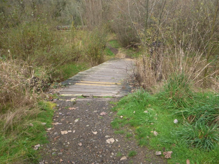Soft surface trail to broken board walk next to Salmon Creek Greenway Trail &ndash; not part of the trail