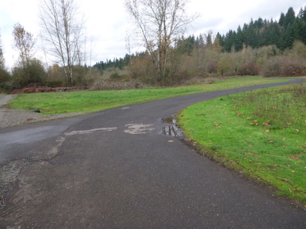 Junction of two hard surface trails on Salmon Creek Greenway Trail &ndash; lip on the side of trail with grass