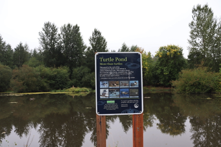 Turtle Pond &ndash; watershed &ndash; home to diverse set of birds, amphibians, reptiles and mammals