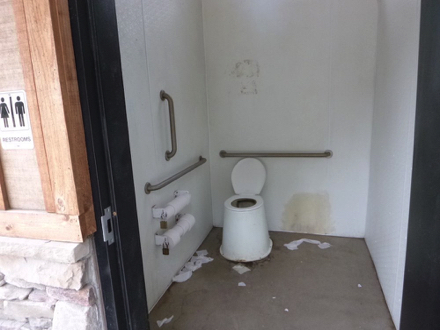 Bathroom with vault toilet and grab bars