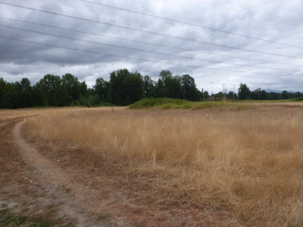 Parts of the Confluence Trail have bumps from encroaching grass