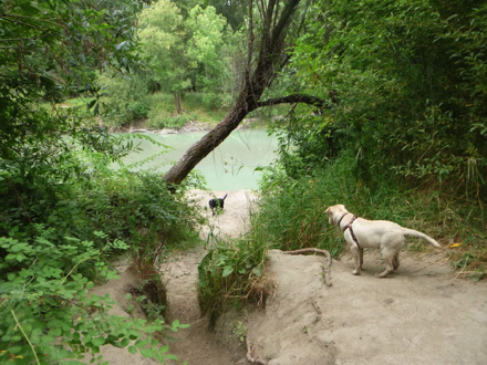 Access to the river is steep and narrow and ill-advised