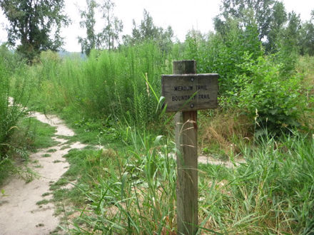Sign to Meadow Trail and Boundary Trail &ndash; natural surface trail with encroaching grass and sand
