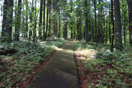 Paved Shelter Trail from parking lot to shelter and restroom – steep grade Paved Shelter Trail from parking lot to shelter and restroom – steep grade